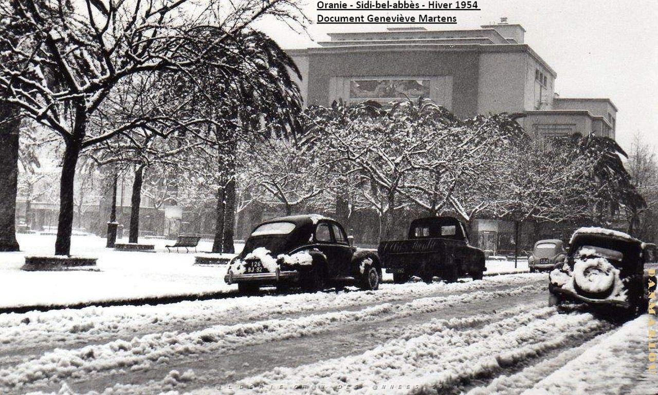 Sidi bel abbes 381.jpg